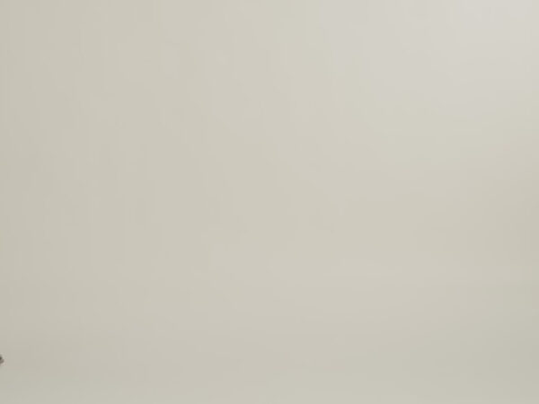 3fee184effd24668a1381440e0a57a5d.thumbnail.0000000000 VersaPack®+ Large Check-In Spinner