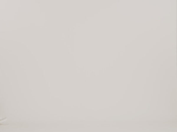 Maxlite® Air V2 Large Check-In Hardside Spinner