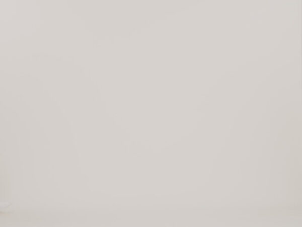 Maxlite® Air V2 Large Check-In Hardside Spinner